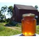 5.5 oz Honey jar